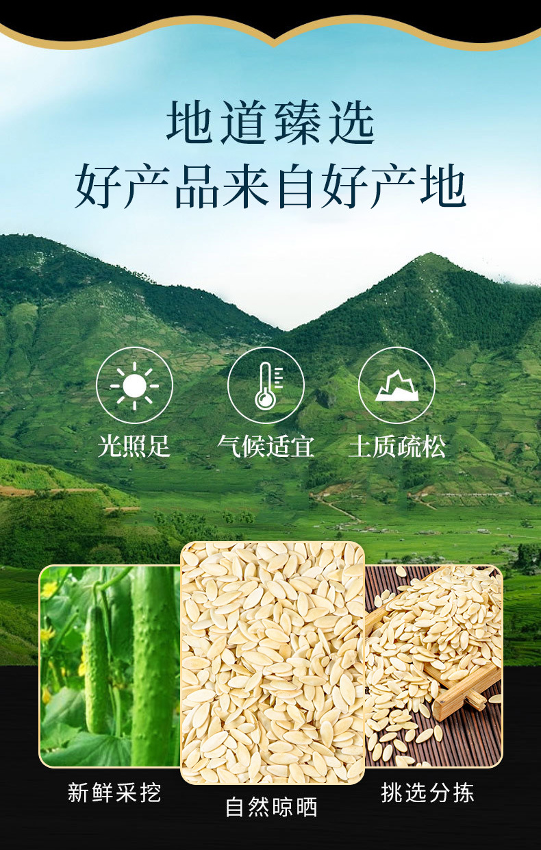 Cucumber Seed (Cucumis sativus) — Roasted Food-Herb Seed, 500g, Custom Grinding Available overview