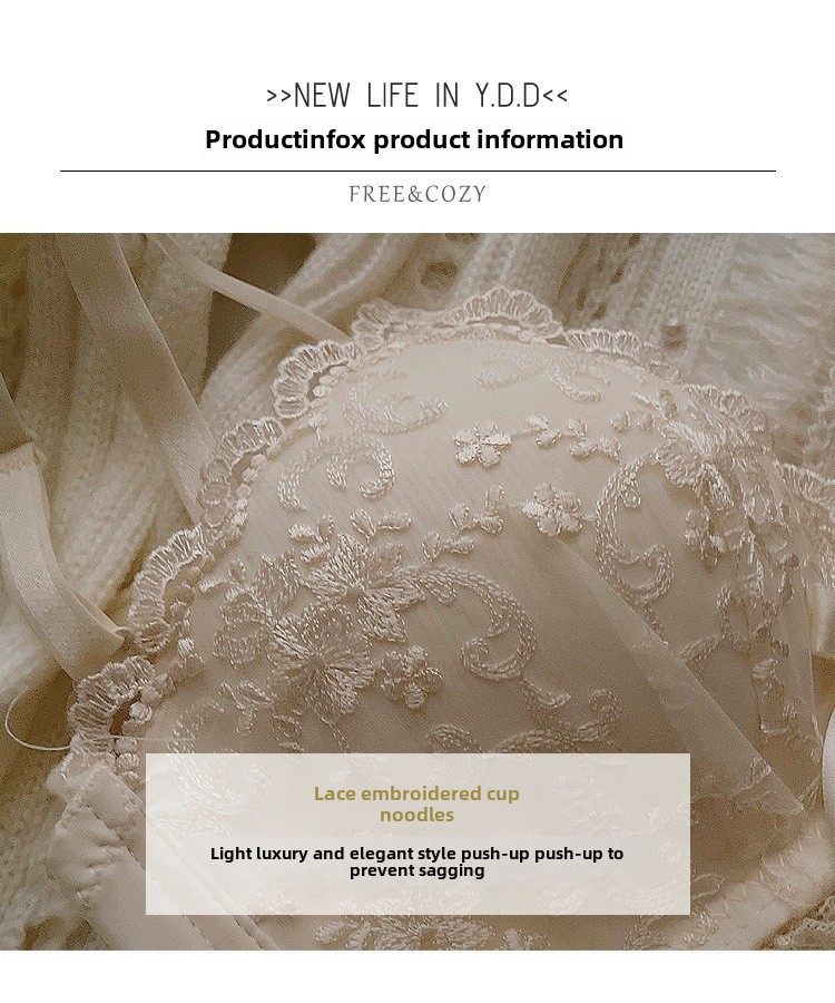 Set reggiseno push-up in pizzo Pure Desire, sexy, ricamato, intimo giapponese, reggiseno traspirante grande per donne con petto piccolo_voghion.com