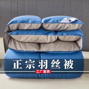 High-end star hotel feather velvet quilt core spring and autumn quilt warm thick winter quilt activity gift quilt wholesale generation