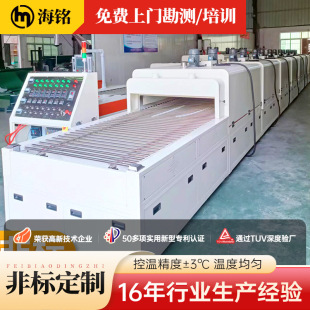 Fully Automatic Tunnel Oven Drying Line, Specialized for Hardware, Plastic, and Silicone Workshops, High-Temperature Energy-Saving Industrial Oven Customization
