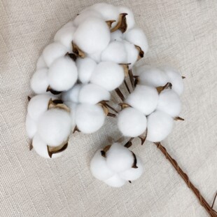 ��Ȼ���޻������޻��^�ɻ�֦������DIY�����[�������b��}�Q���