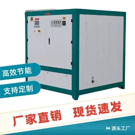 蒸汽发生器;燃生物质锅炉;燃气锅炉