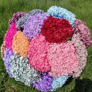 Factory Direct Sales of Eternal Hydrangea Bouquets in Various Colors, Cross-Border Wholesale, Photography Props, DIY Materials, Real Flowers, Dried Flowers