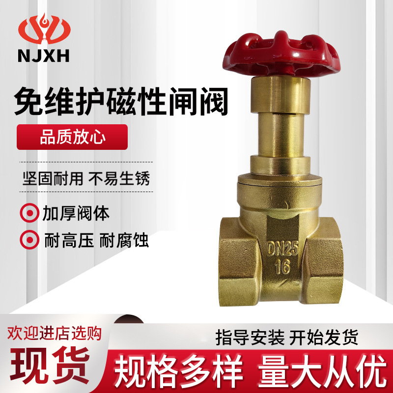 免维护磁性闸阀防盗法兰软密封加密球墨铸铁锁闭