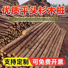 ɼľ������ӵ������g�����ˈ@���ژ��@�־G����ľ�Aľ֧�ΗU