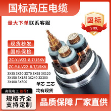 Ϸʸ߉|10KV,8.7/15KV,26/35KV,YJV22 YJY23ZR,ZCо