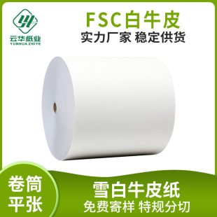 80-350g Snow White Kraft Paper Environmentally Friendly Wood Pulp Packaging Double-Sided Light White Kraft Paper Moisture-Proof Handbag Original Paper