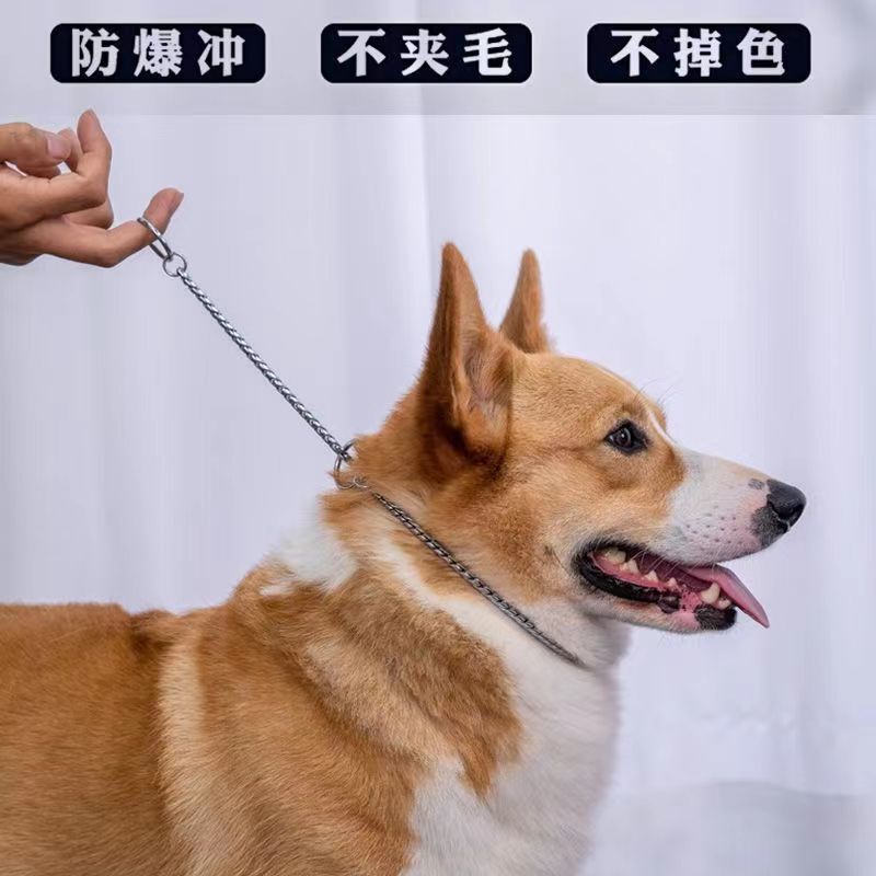 競技級蛇チェーン犬Pチェーン首輪小型中型大型犬訓犬鉄チェーン金毛ペット金属首カバー|undefined