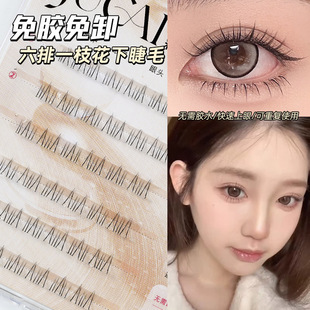 ���zϵ����Ȼ�o�۹���͸���pӯ�o�к����ײ������ֱ؂��½�ë