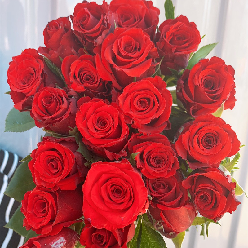 玫瑰花鲜花云南昆地批直发百合向日葵红豆家用鲜切水养插绢花|undefined