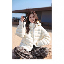 2025�ﶬ���¿�����q�Ź���q��Ů�̿�r�к��s�BñС�������׳�