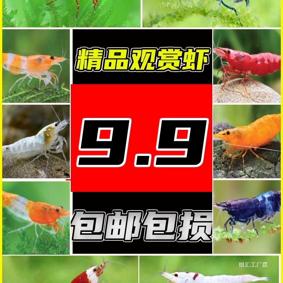 Декоративные креветки, инструменты для живых домашних животных, креветки, удаление пресноводных водорослей, креветки, креветки с вишневым цветком, чрезвычайно популярные креветки, кристаллические креветки, пакет