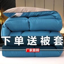 羽绒被95白鹅绒空调被春秋被冬被加厚保暖单双人宿舍被子被芯