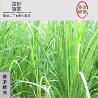 Эфирное масло черной ели Иланг-иланг Гвоздика кипарис Cinnamomum Кедр Лайм Лимон Имбирь Лаванда и других растений Эфирное масло Образцы