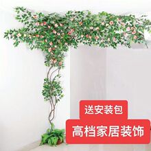 ������~��֦���ټ��~�ӿ͏d�҃ȾGֲ�����ٻ��ٗl��픷���Ř�