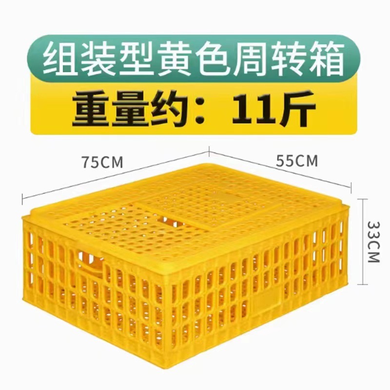 Cesta de caja de pollo de granja para el transporte de caja de rotación de aves de corral de plástico en caja de rotación de palabras de pollo, pato y paloma caja de pollo engrosado para el hogar