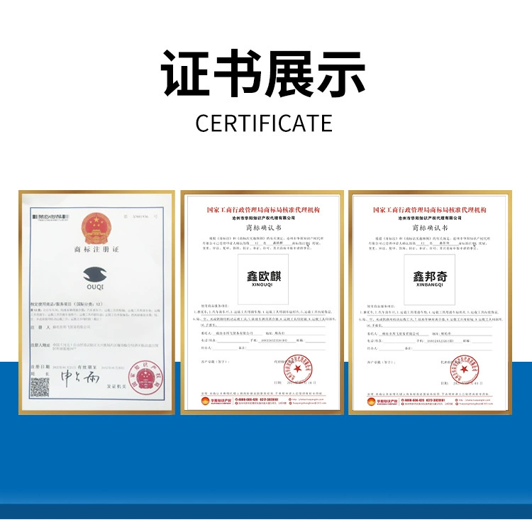 Electric car, brake disc brake