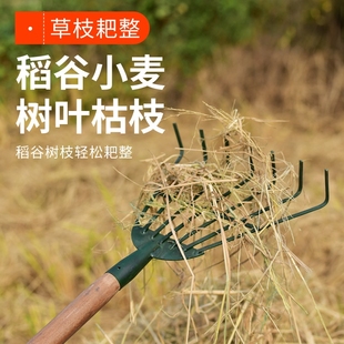 Steel Rake for Grass, Iron Rake for Tree Leaves, Gardening Rake for Catching Grass, Agricultural Tool