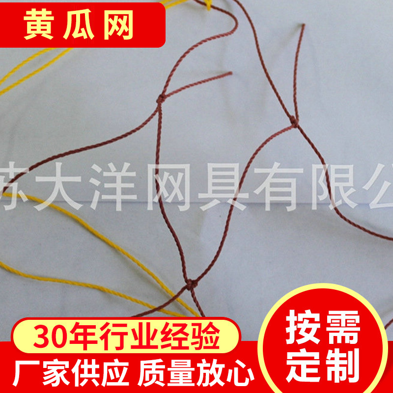 厂家现货供应 农业用网 园艺网 黄瓜网 爬藤网，大洋网具量大批发