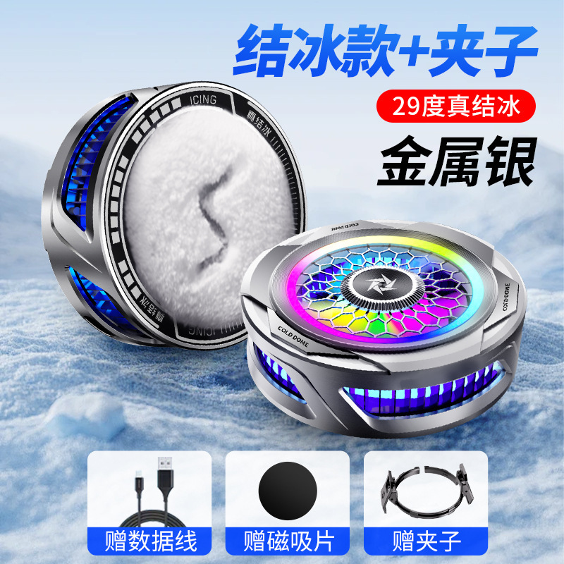 SL25 icing silver