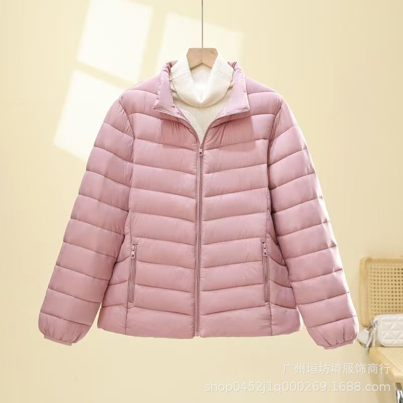 微信图片_20251014074910_146_579.jp