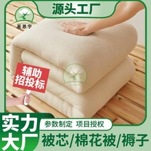 2025新款秋冬保暖新疆长绒棉被芯单人纯棉花被被褥厂家直销批发价