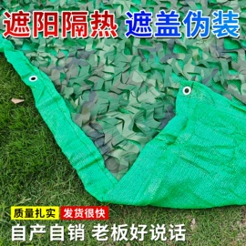 建筑安全网;安全平网;盖土网