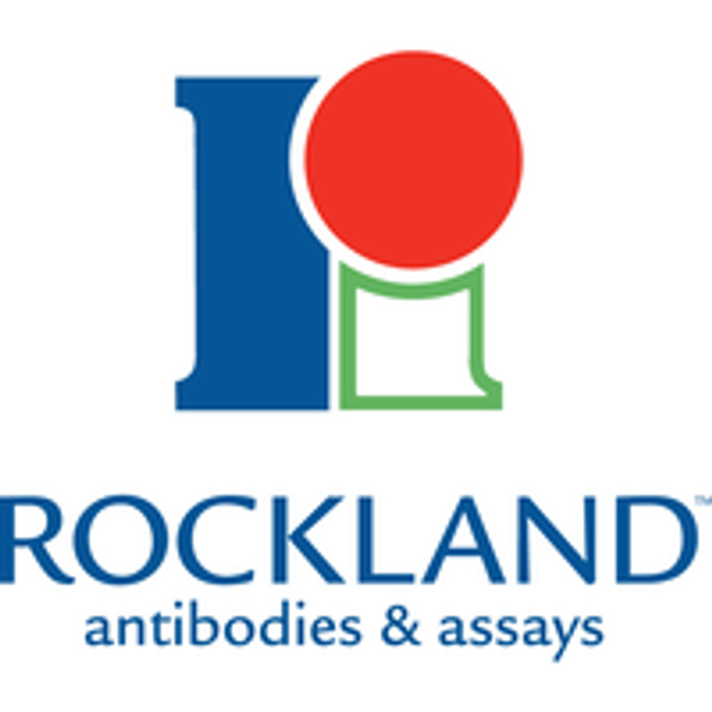 Rockland 610-1103 Anti-MOUSE IgG F(c) (GOAT) Antibody 2mg
