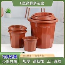 E型高腳塑料花盆大口徑基地種植菊花育苗多肉綠植E型高腳塑料花盆