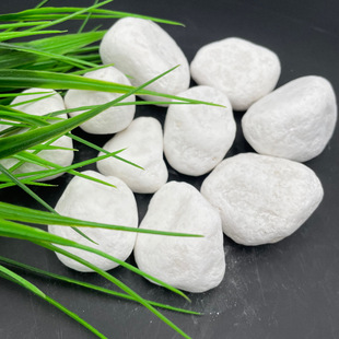 ���l��ɫ�Z��ʯ���l�����b���澰�^ʯͥԺ�b��쾰�����·�Z��