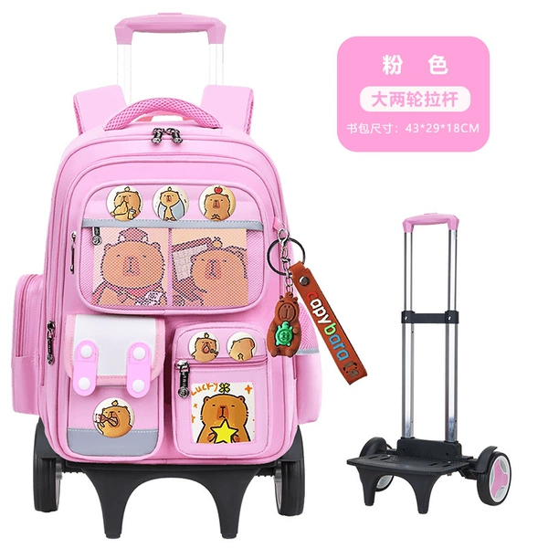 Fuchsia backpack, suitcase on wheels