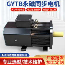 厂家批发高速GYTB永磁同步电机 节能大马力全频机械交流电机