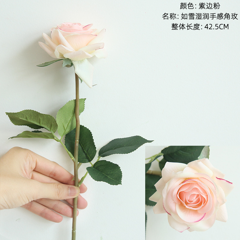 퍼플 엣지 파우더