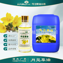 �S���L�ڹ��� ��Ѳ�/��Ҋ����Evening primrose oil ֲ����ȡ
