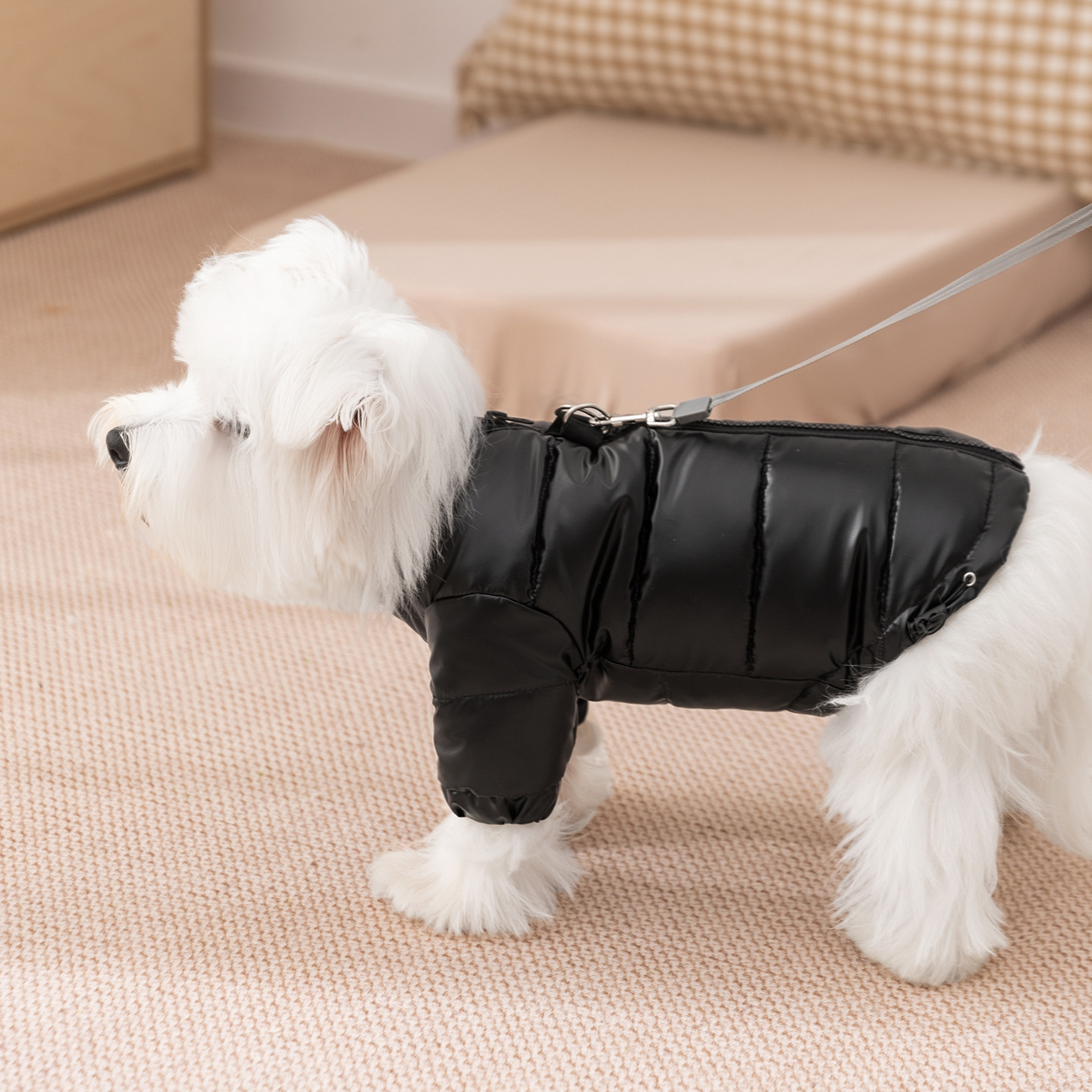 Ropa de mascotas de otoño y invierno, chaqueta de plumón de dos patas gruesa y cálida, perros pequeños y medianos pueden traer perros, gatos, trajes de oso