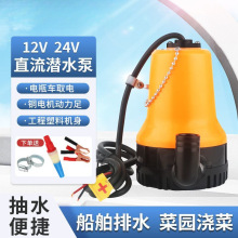 小型直流小潜水泵12V24V塑料船用农用浇地家用船舱抽水机太阳能泵