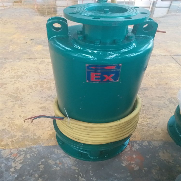 立式 机电一体 下吸式吸水 矿用隔爆型潜水排沙电泵BQS160-20