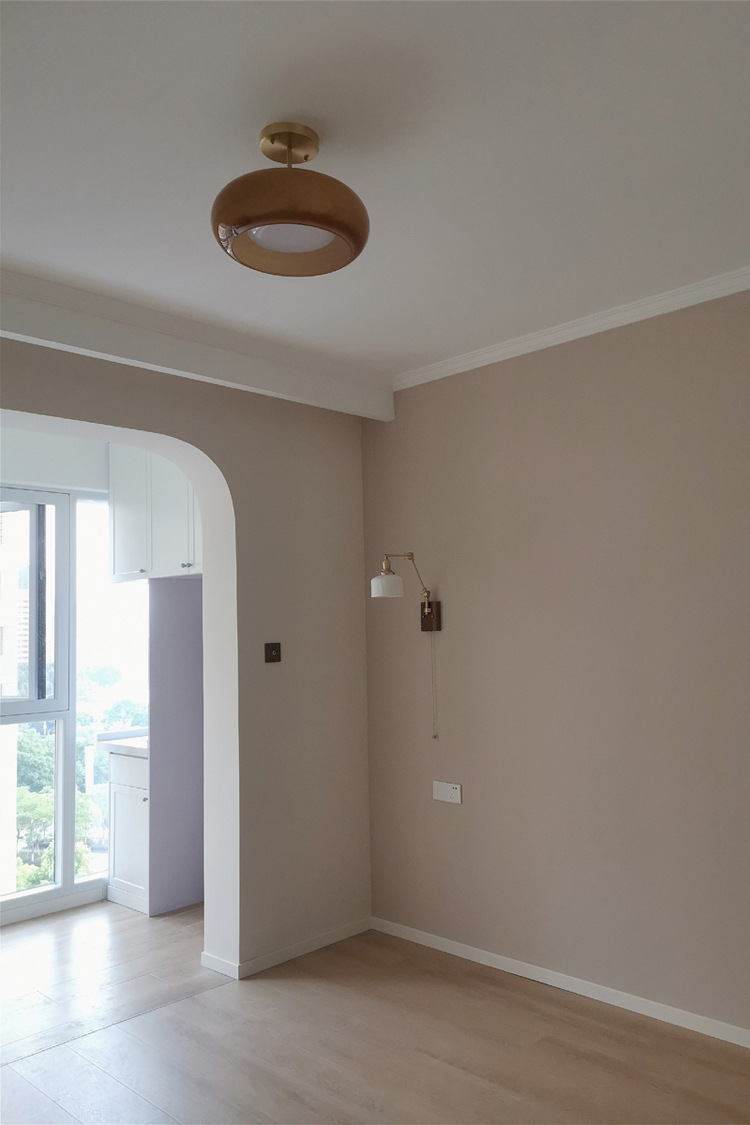 Ceiling Light 4