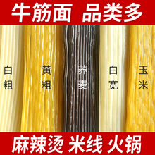 空心面东北麻辣烫店专用牛筋面半干牛筋面条火锅面真空商用宽面条