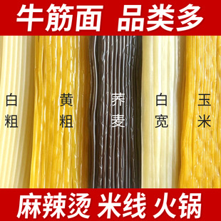 ������|�������C�ꌣ��ţ������ţ����l�����������Ì���l