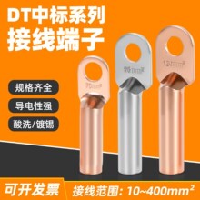 DT铜鼻子接线端子电线铜线鼻子镀锡堵油铜接头25/35/50平方线耳