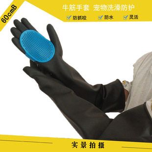 ؈��ϴ�茙���ҧ��ˮ���׏���ţ�����ϴ�蹷؈���ҧ��ץ��ȫ