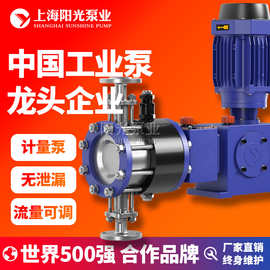DY-Z型液压隔膜式计量泵高压计量泵耐腐蚀计量泵型号 定金