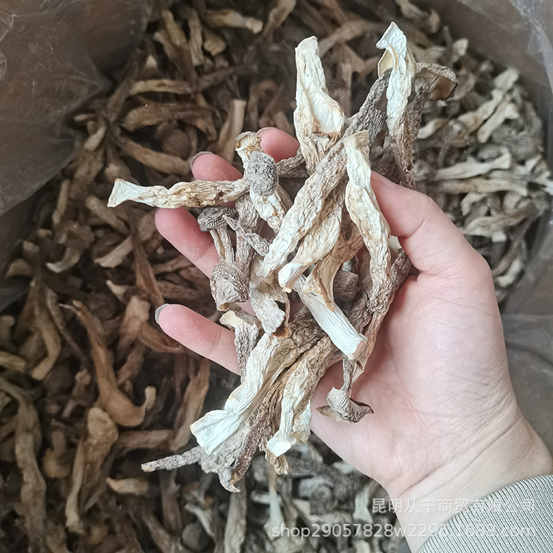 Dried Deer Antler Mushroom 500g Premium Edible Fungus for Soup and Stir Fry quality and texture