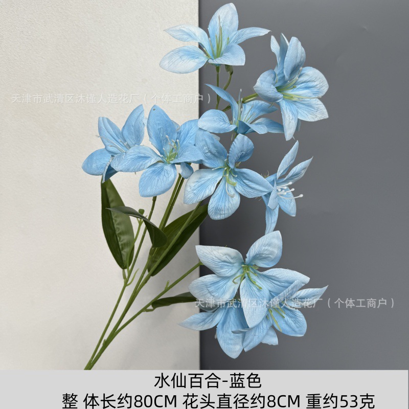 수선화 백합