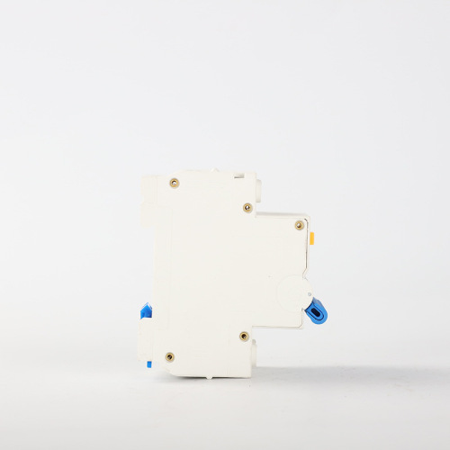 Small leakage circuit breaker C40 2P leakage circuit breaker blue handle micro leakage switch