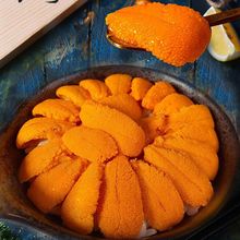 ���B��đ�����r���ك���ʳ���r�F����đ�⺣đ�S�R�S��đ�������