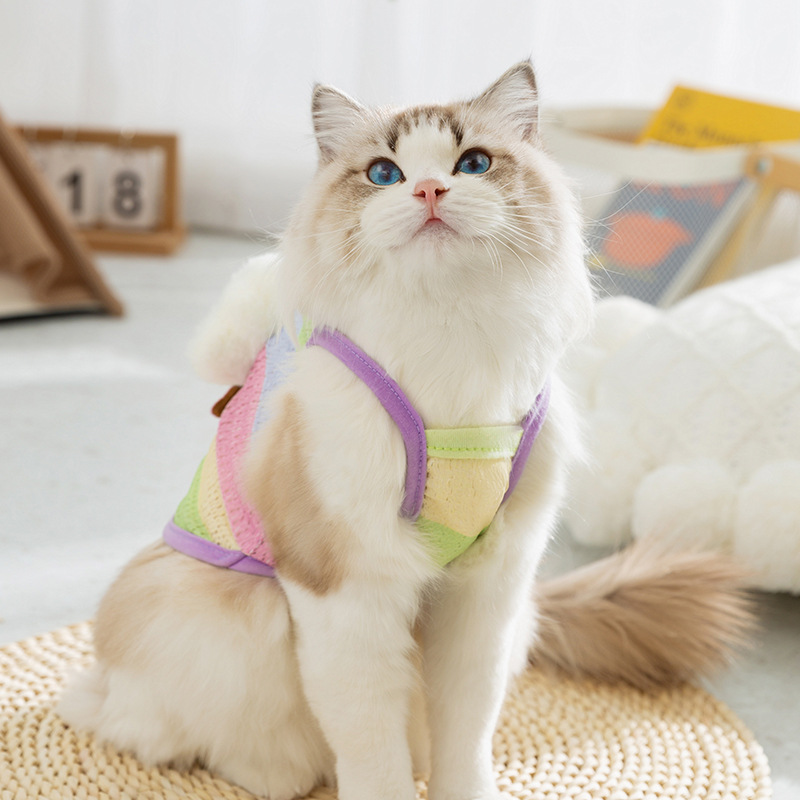 Gatos primavera y verano dibujos animados lindos arco iris estereoscópico rayas nubes de tracción cabina perro dos patas mascota ropa de gato