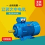 江苏调速能效三相电机