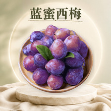陕西渭南蓝蜜西梅 一件代发时令新鲜水果1/3/5斤蓝紫果皮黄肉李子